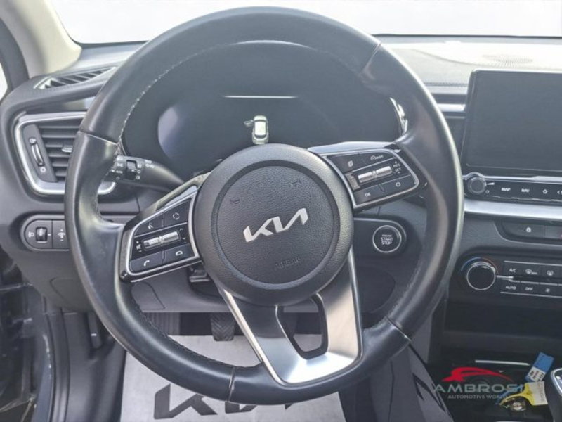 Kia XCeed usata a Perugia (14)