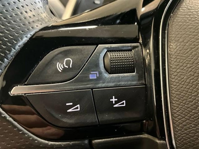 Peugeot 3008 usata a Como (18)