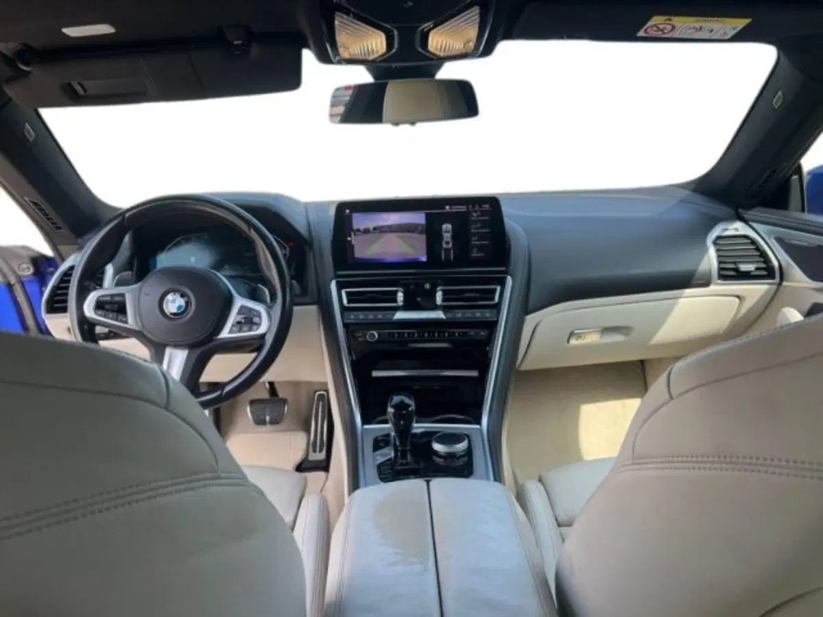 BMW Serie 8 Coupé usata a Lecce (11)