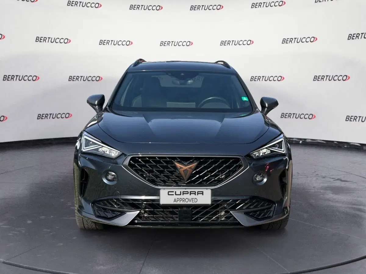Cupra Formentor usata a Verona (2)