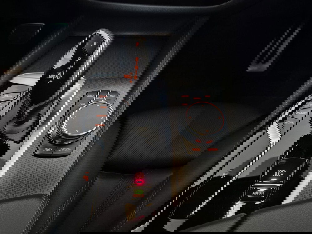 BMW Serie 5 Touring usata a Torino (11)