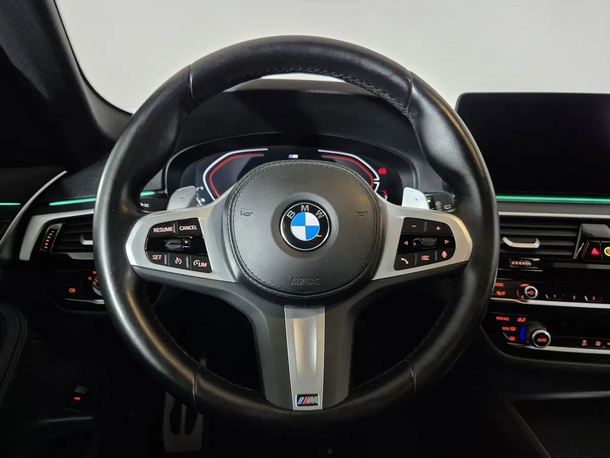 BMW Serie 5 Touring usata a Torino (20)