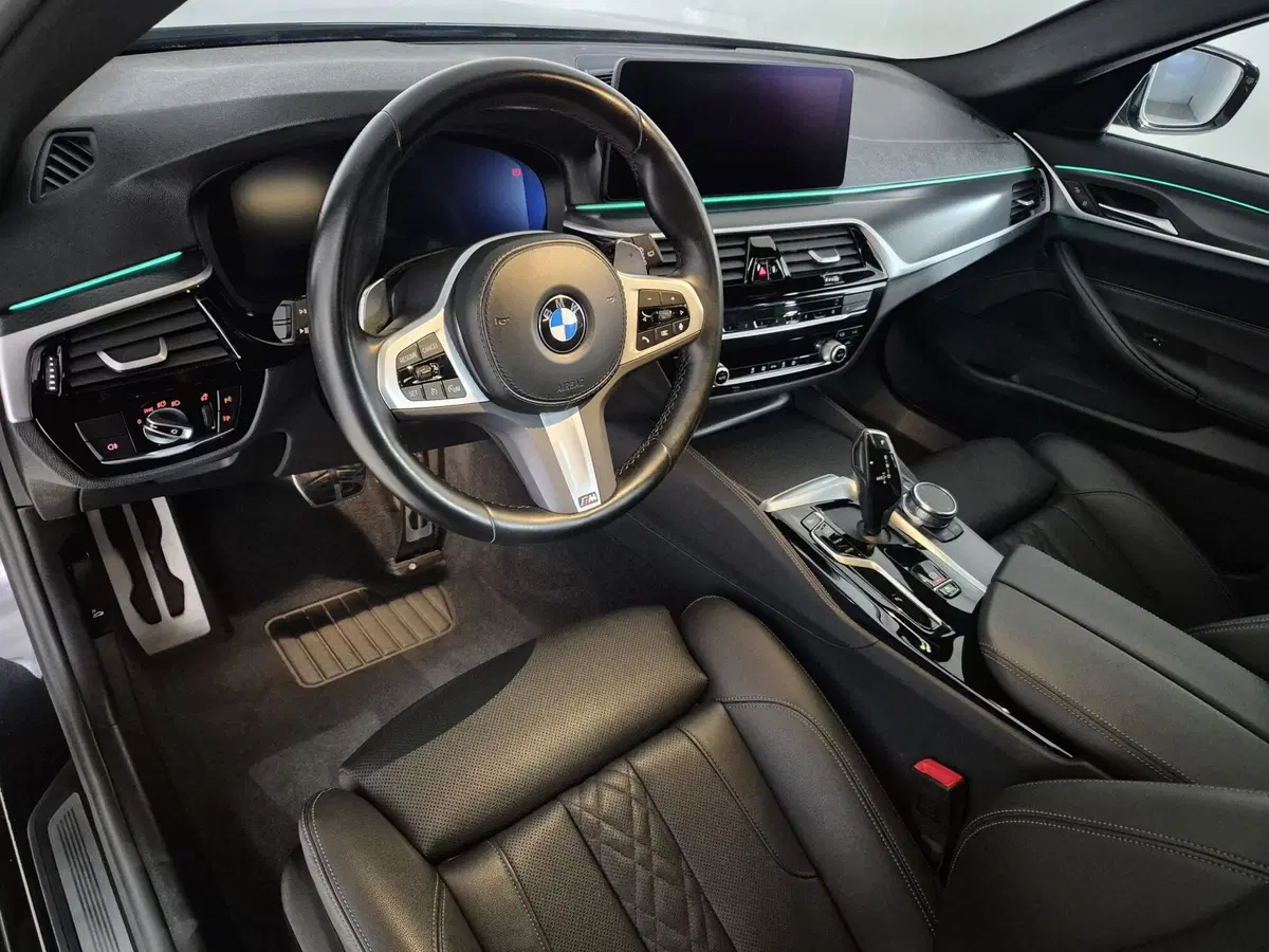BMW Serie 5 Touring usata a Torino (7)