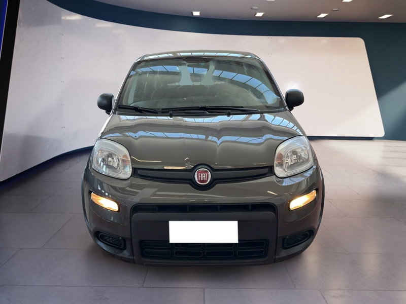 Fiat Panda usata a Torino