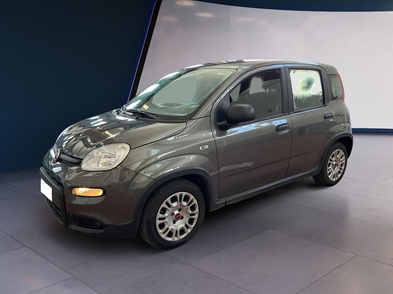 Fiat Panda usata a Torino (2)