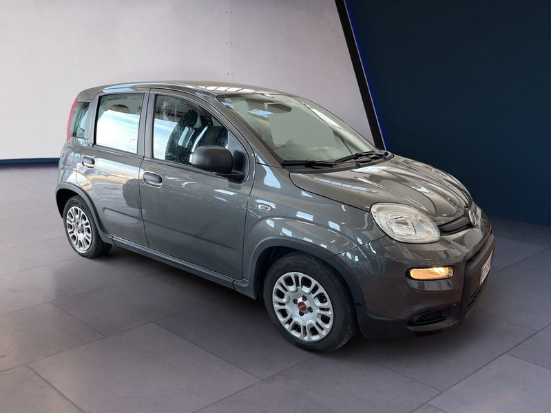 Fiat Panda usata a Torino (3)