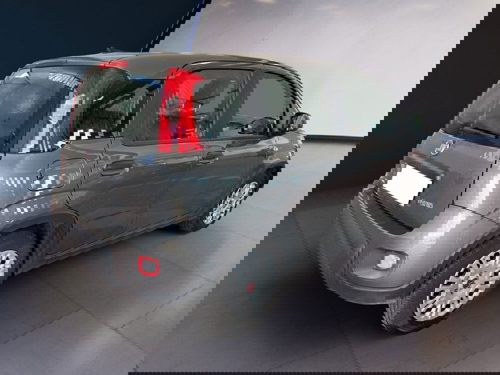 Fiat Panda usata a Torino (4)