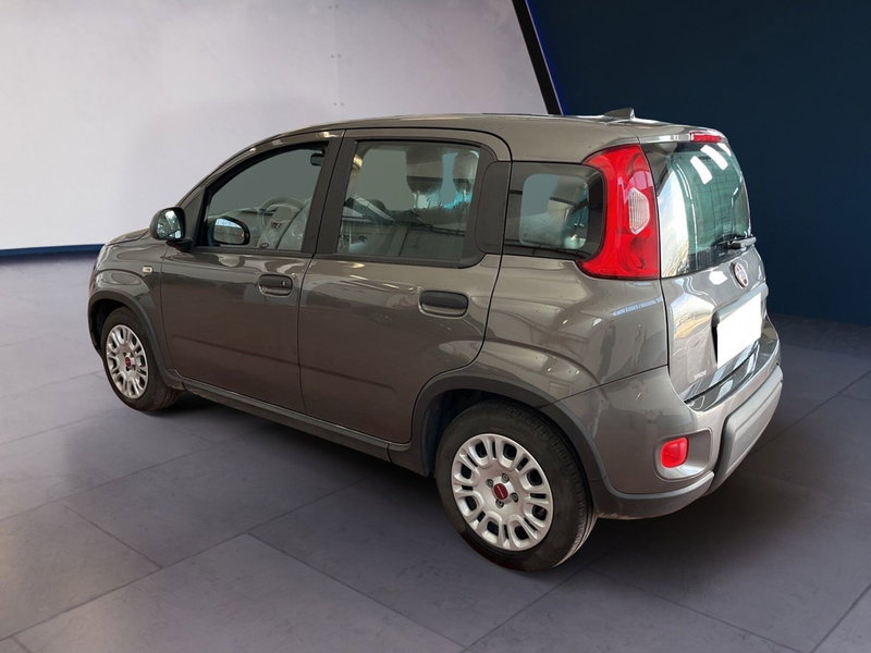 Fiat Panda usata a Torino (6)