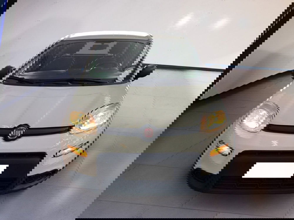 Fiat Panda Cross usata a Torino