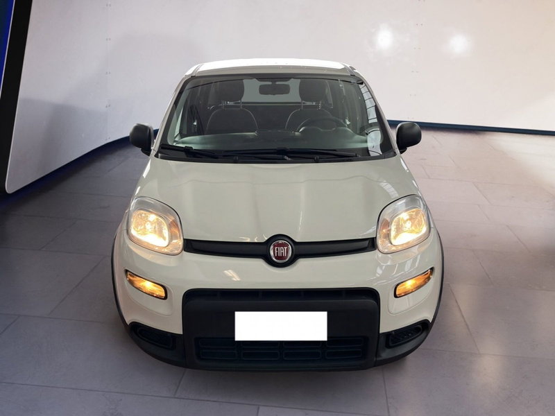 Fiat Panda Cross usata a Torino