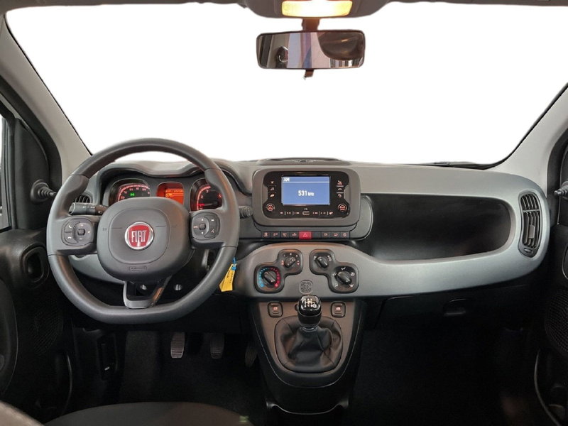 Fiat Panda Cross usata a Torino (10)