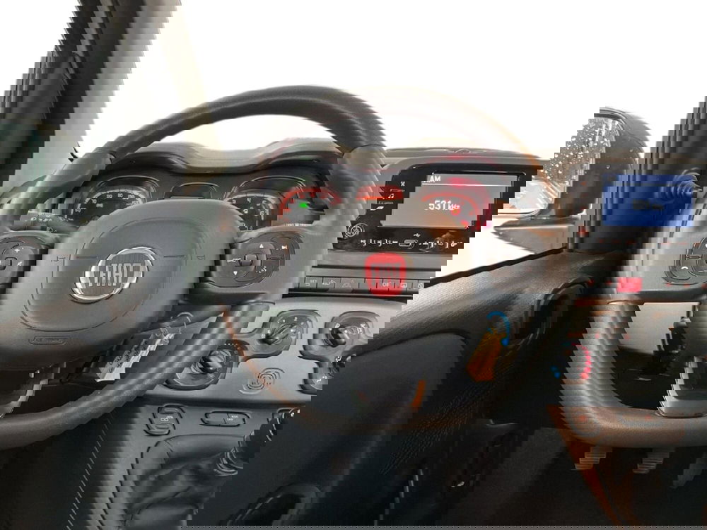 Fiat Panda Cross usata a Torino (11)