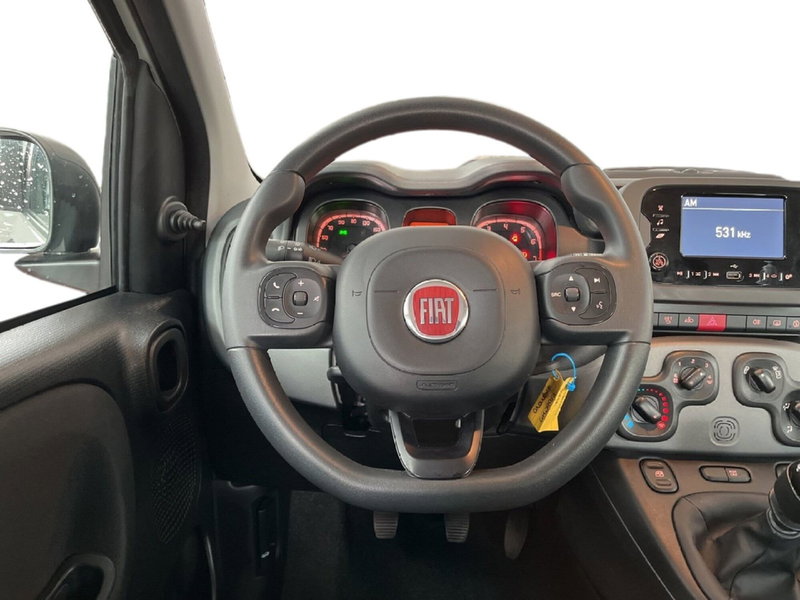 Fiat Panda Cross usata a Torino (11)