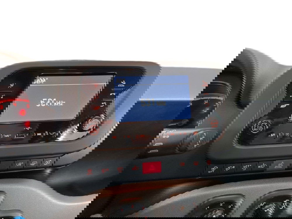 Fiat Panda Cross usata a Torino (12)