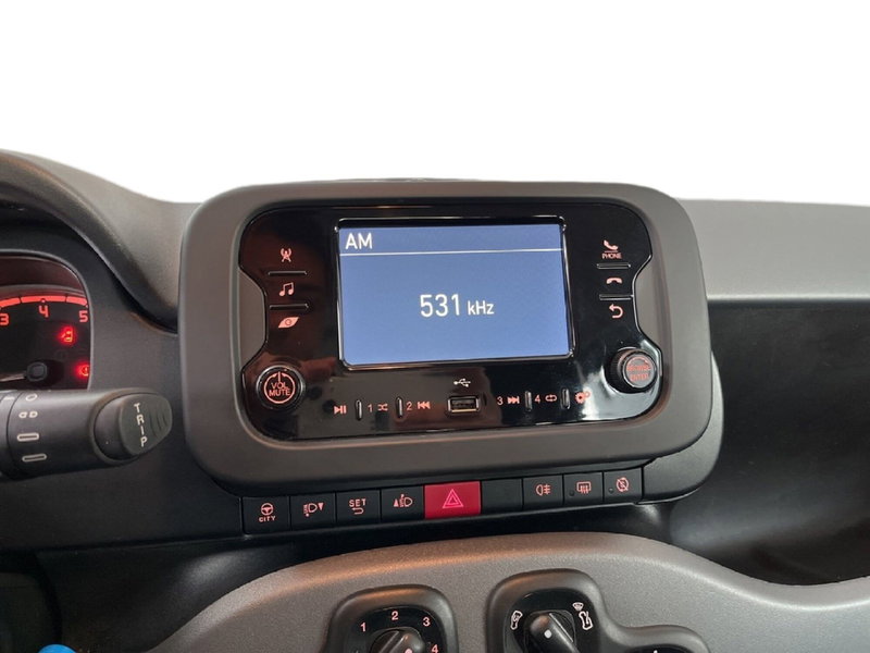 Fiat Panda Cross usata a Torino (12)