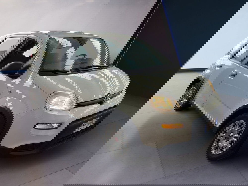 Fiat Panda Cross usata a Torino (2)