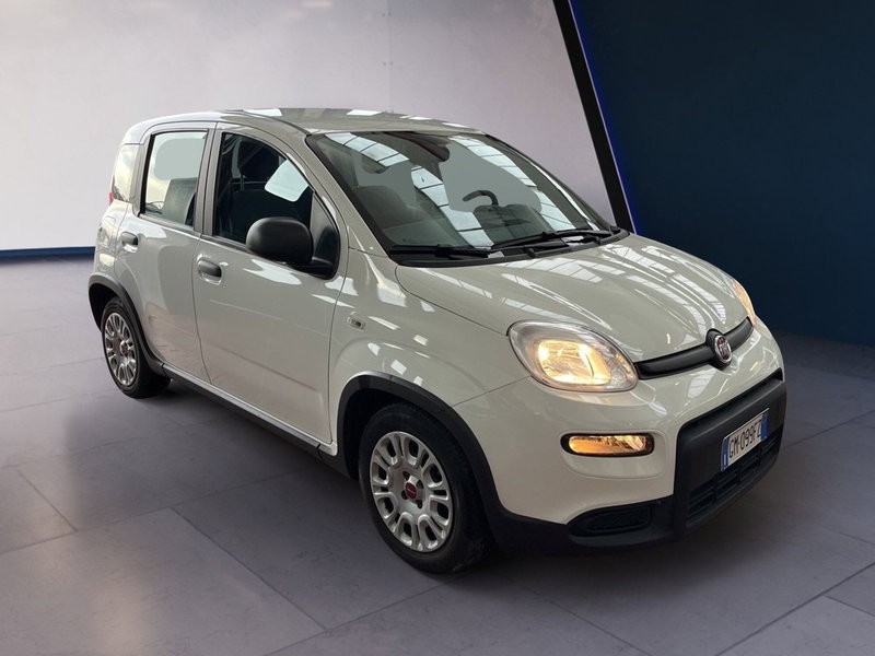 Fiat Panda Cross usata a Torino (2)