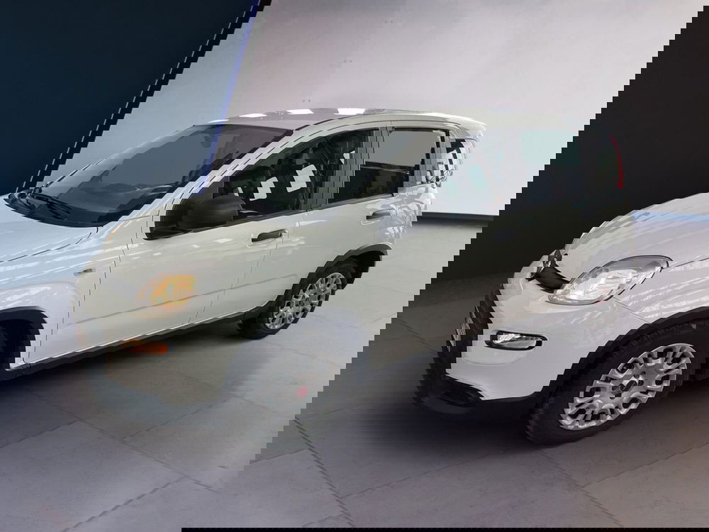 Fiat Panda Cross usata a Torino (3)