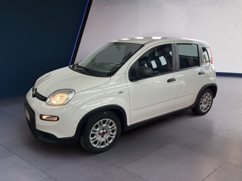 Fiat Panda Cross usata a Torino (3)