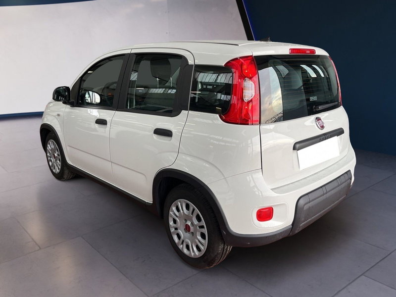 Fiat Panda Cross usata a Torino (4)