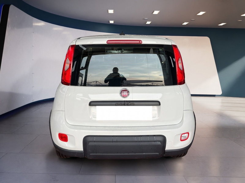 Fiat Panda Cross usata a Torino (5)