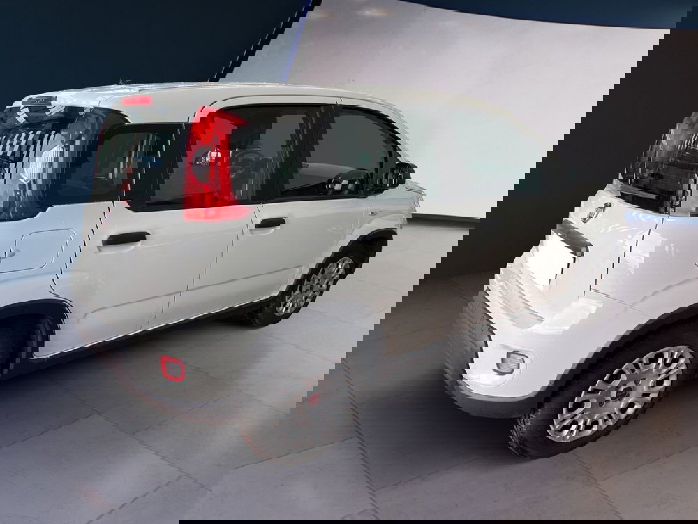 Fiat Panda Cross usata a Torino (6)