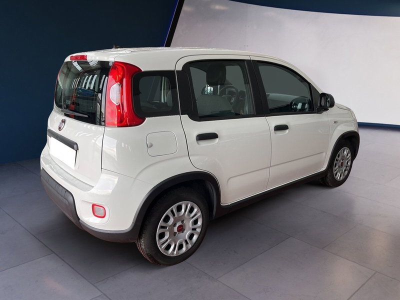 Fiat Panda Cross usata a Torino (6)