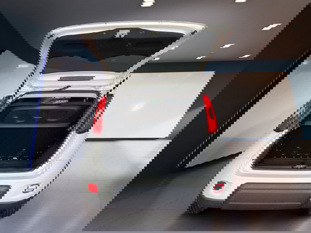 Fiat Panda Cross usata a Torino (7)