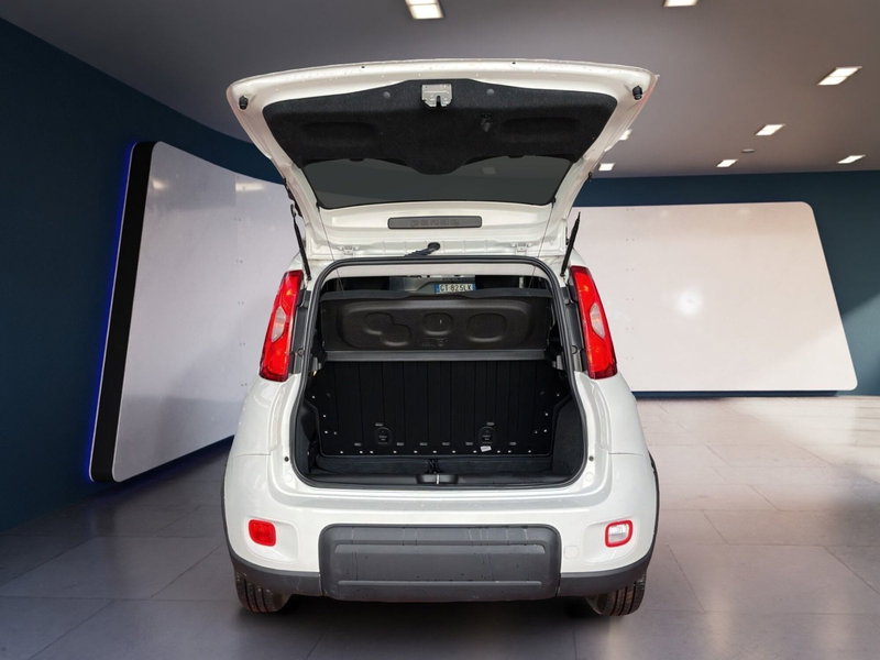 Fiat Panda Cross usata a Torino (7)