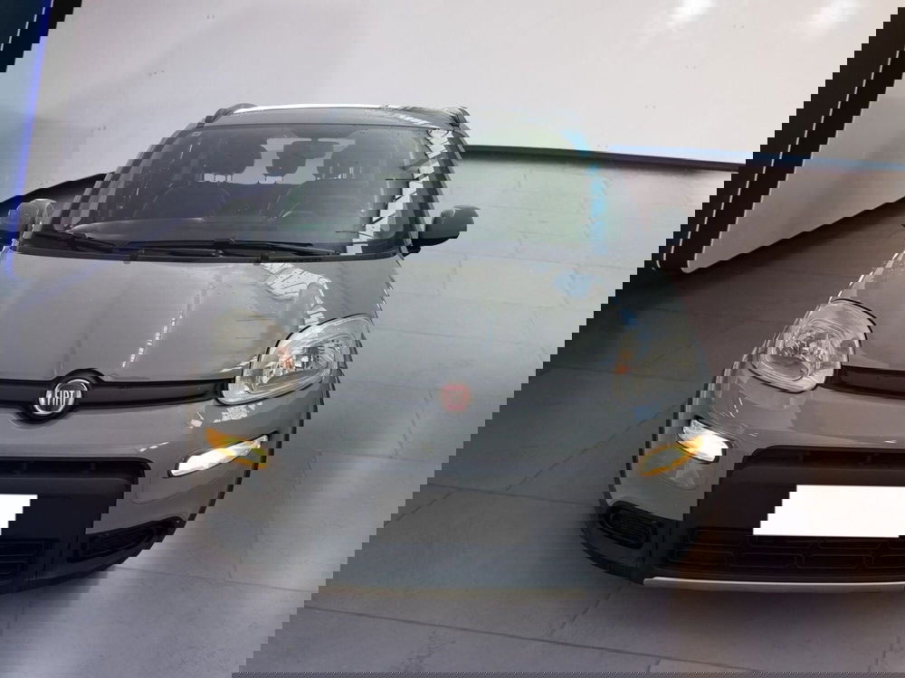 Fiat Panda usata a Torino