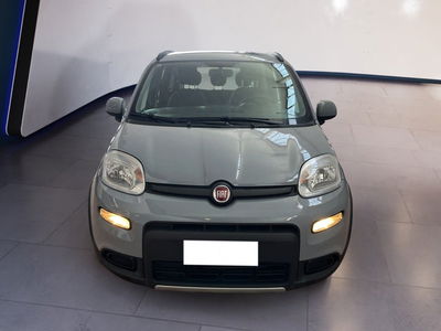 Fiat Panda 1.0 FireFly S&amp;S Hybrid City Cross del 2022 usata a Torino