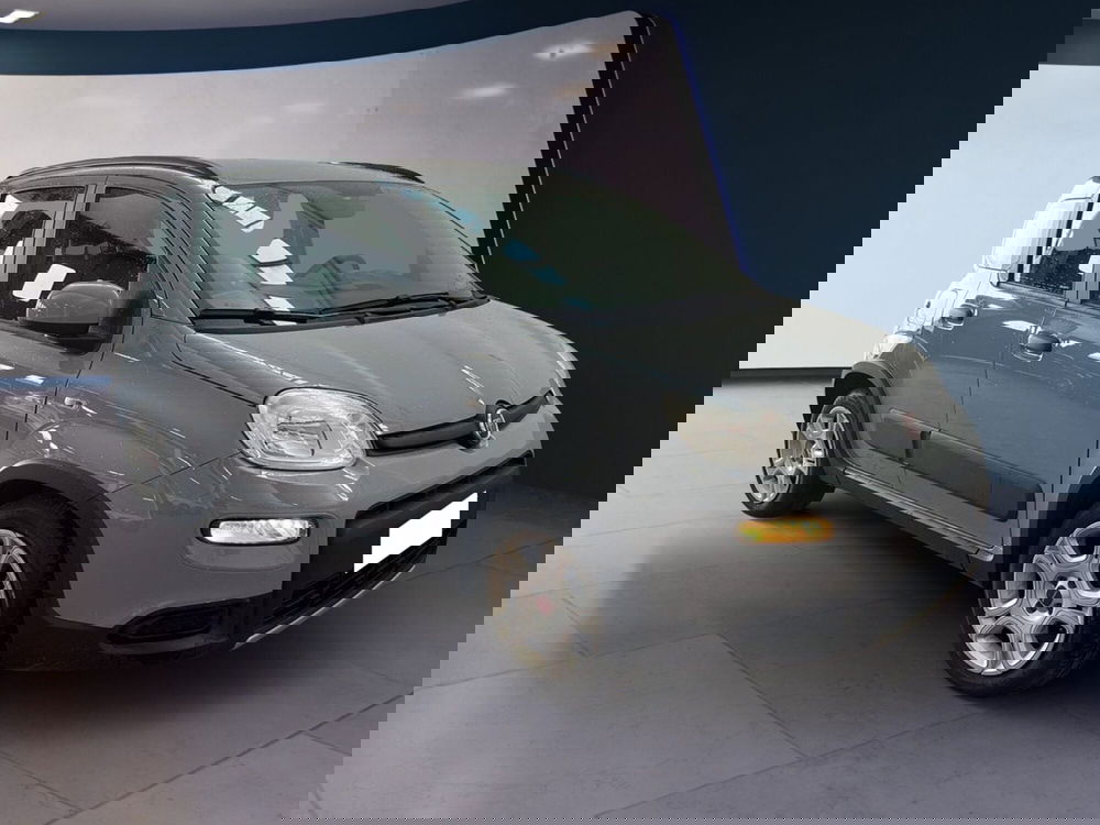 Fiat Panda usata a Torino (2)