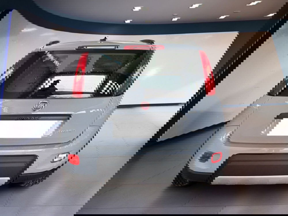 Fiat Panda usata a Torino (5)