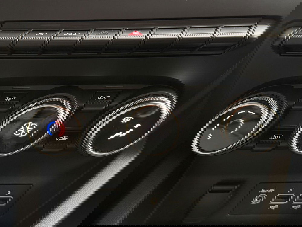 Renault Clio usata a Monza e Brianza (14)