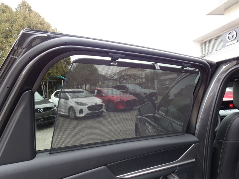 Mazda CX-80 usata a Treviso (14)