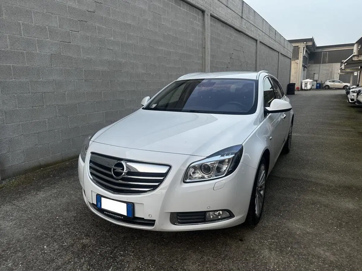 Opel Insignia Station Wagon usata a Alessandria