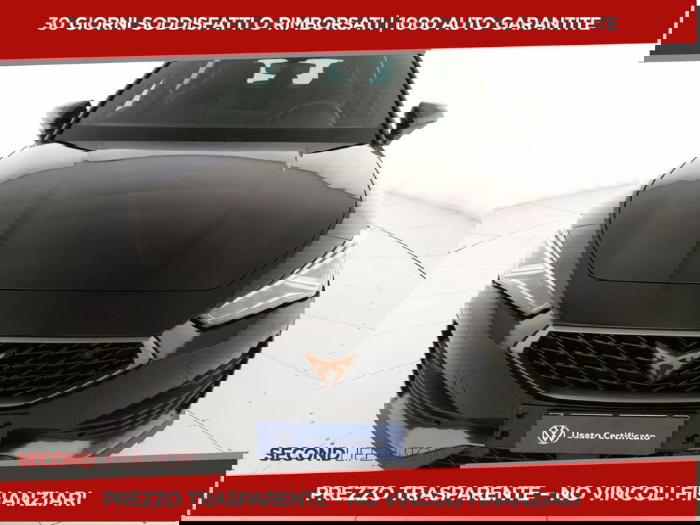 Cupra Leon usata a Chieti (5)