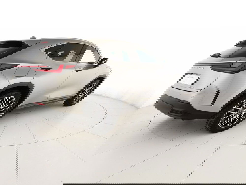 Lexus NX usata a Chieti (3)