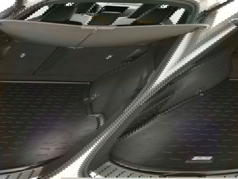 Lexus NX usata a Chieti (7)