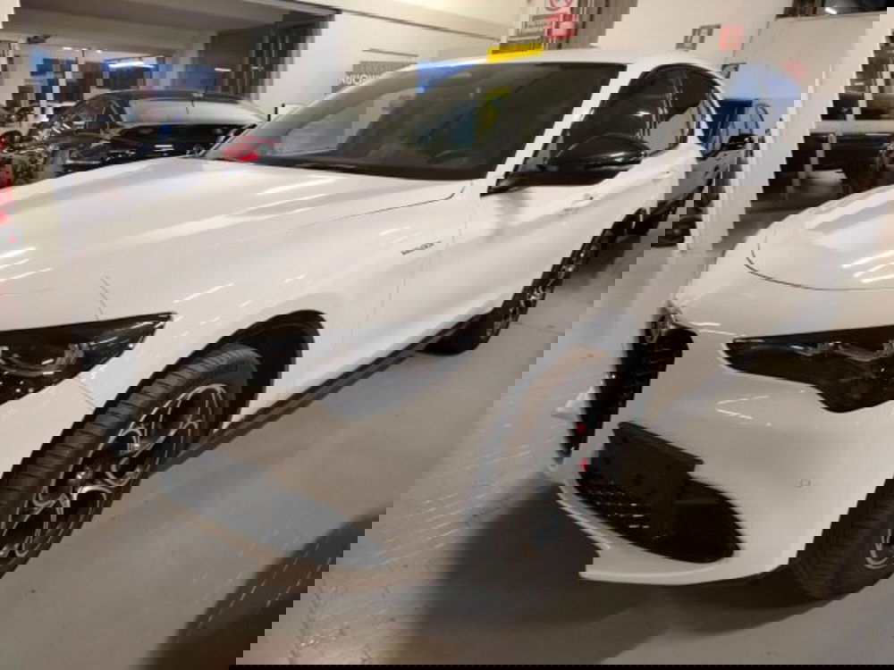 Alfa Romeo Stelvio usata a Forlì-Cesena