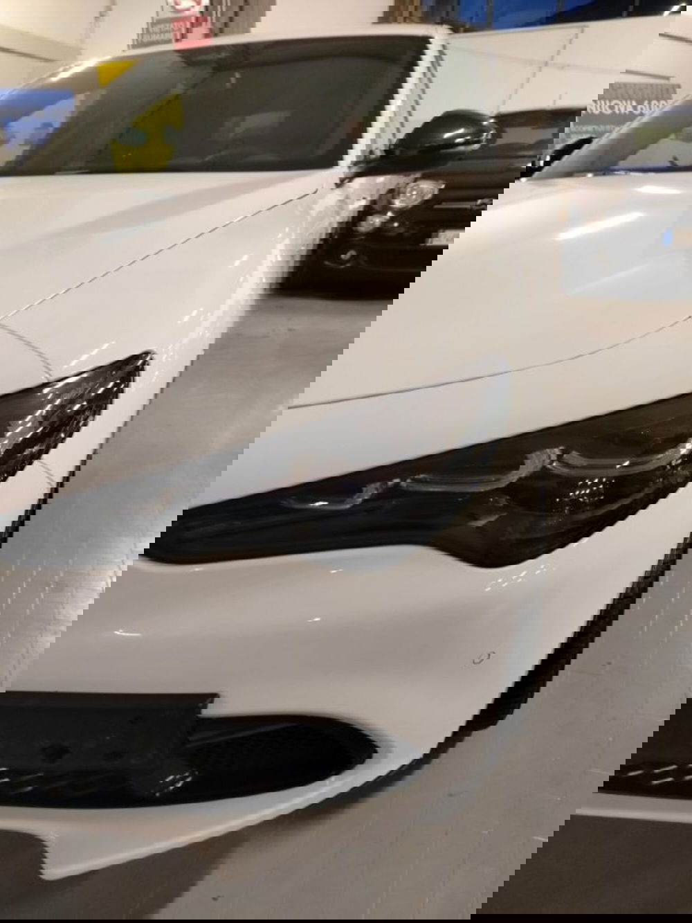 Alfa Romeo Stelvio usata a Forlì-Cesena (12)