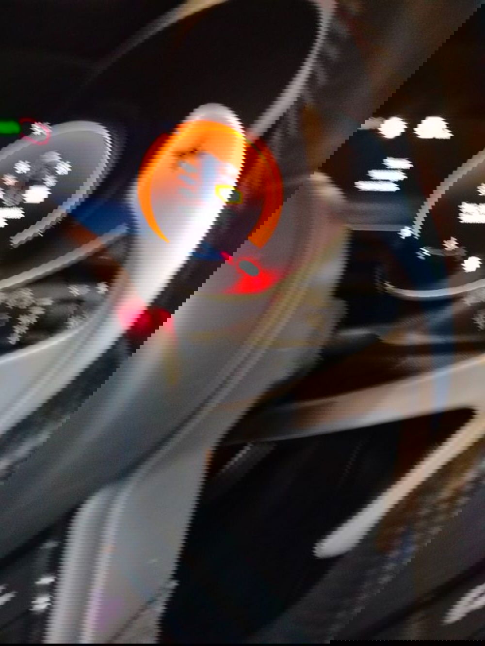 Alfa Romeo Stelvio usata a Forlì-Cesena (19)