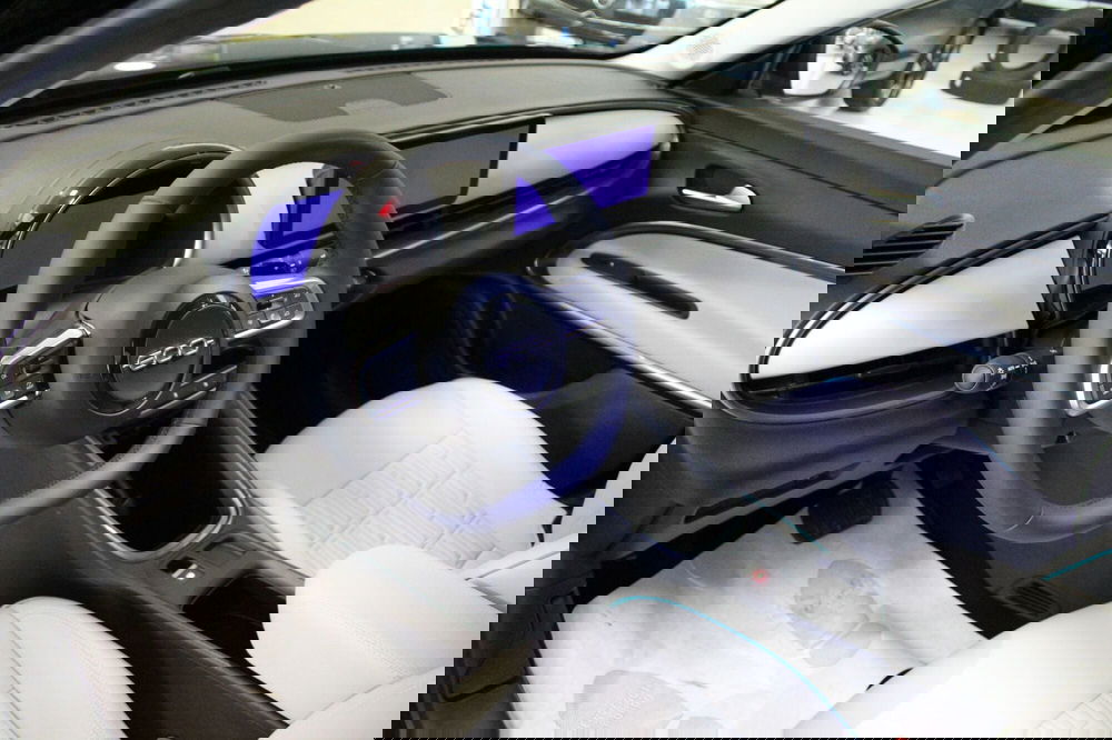 Fiat 600 usata a Cremona (9)