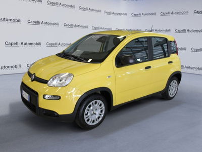 Fiat Panda Cross Cross 1.0 FireFly S&amp;S Hybrid del 2024 usata a Casalmaggiore