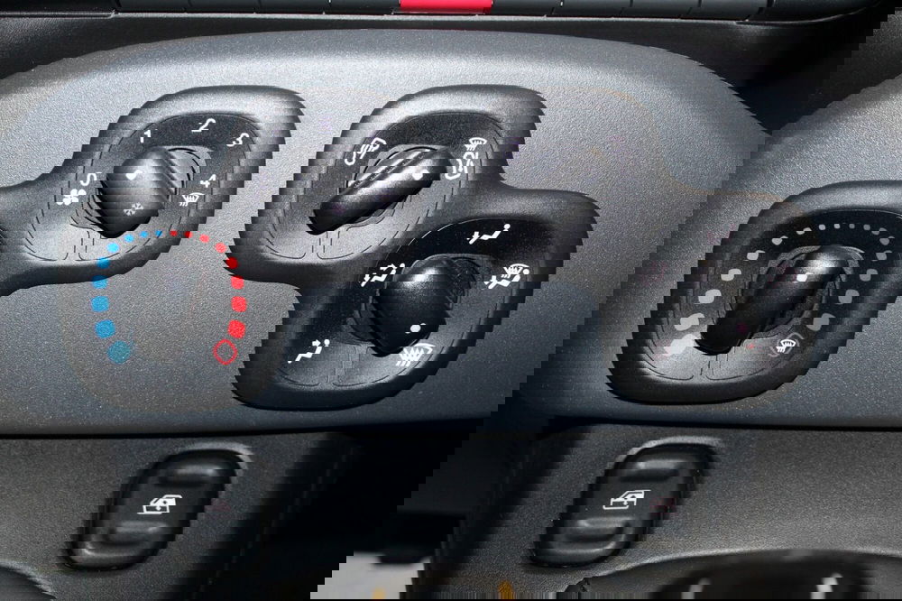 Fiat Panda Cross usata a Cremona (14)