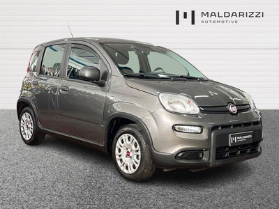 Fiat Panda 1.0 firefly hybrid s&amp;s 70cv 5p.ti del 2023 usata a Bari