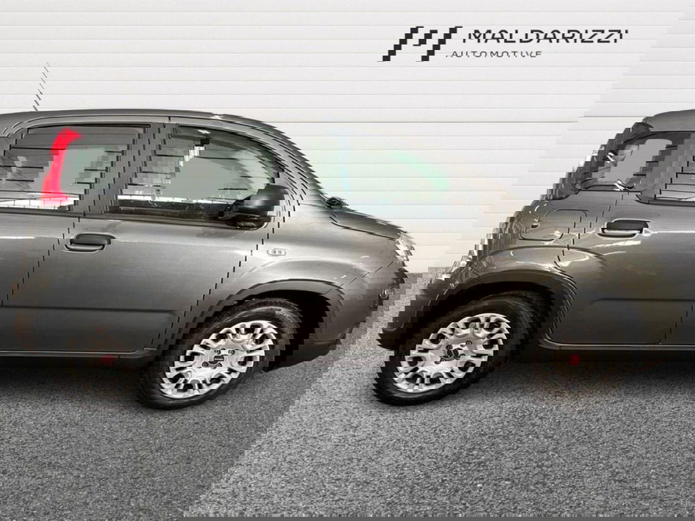 Fiat Panda usata a Bari (5)