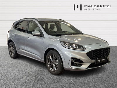 Ford Kuga 2.0 EcoBlue 120 CV aut. 2WD ST-Line X del 2023 usata a Bari