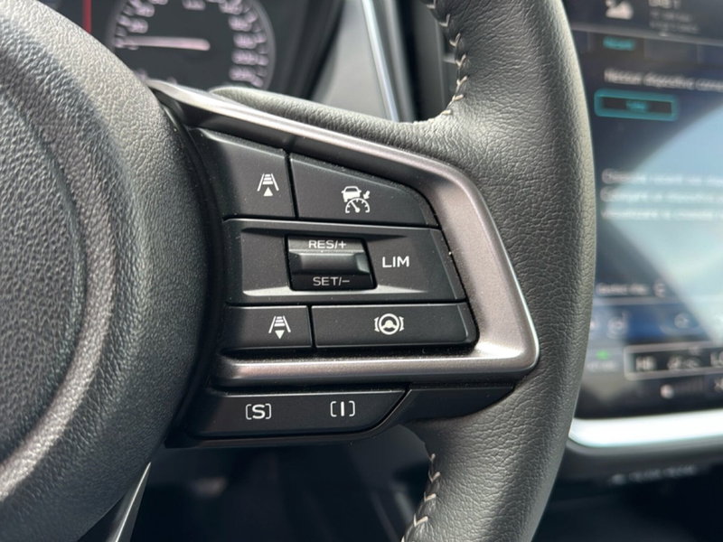 Subaru Crosstrek usata a Ferrara (15)