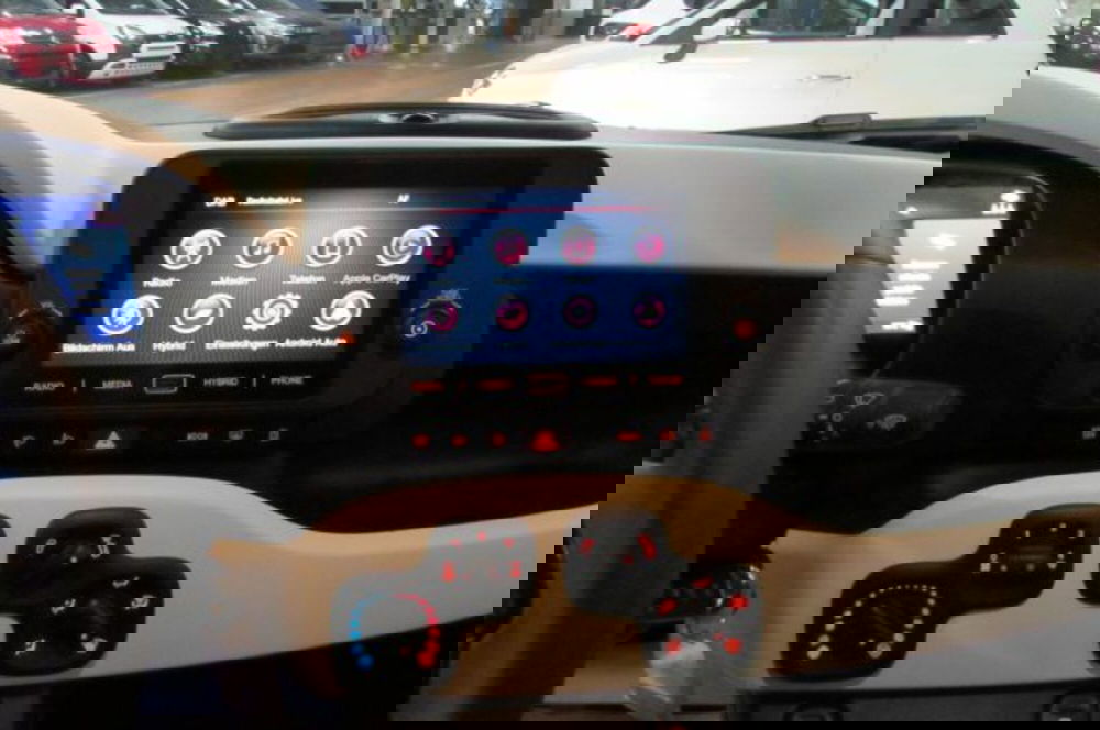 Fiat Panda Cross usata a Milano (8)